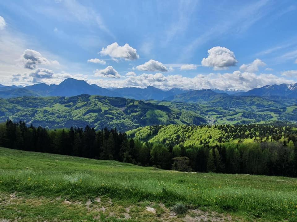 Apartamento Holzhaus "Zum Schwarz'N" Aurach am Hongar Exterior foto