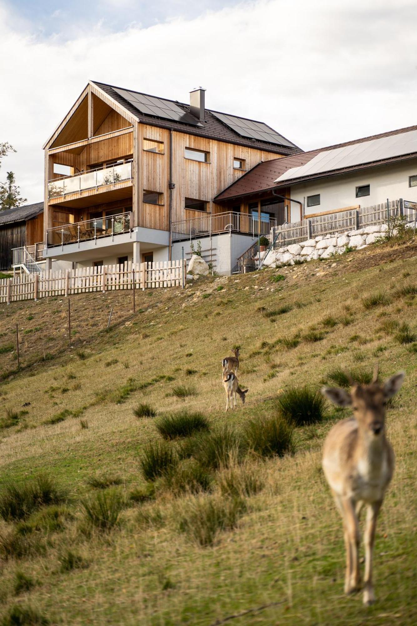 Apartamento Holzhaus "Zum Schwarz'N" Aurach am Hongar Exterior foto